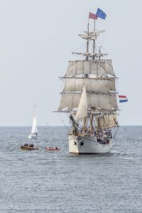 wes-16070061